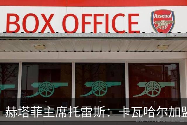 赫塔菲主席托雷斯：卡瓦哈尔加盟“是玩笑”，称只是烟雾